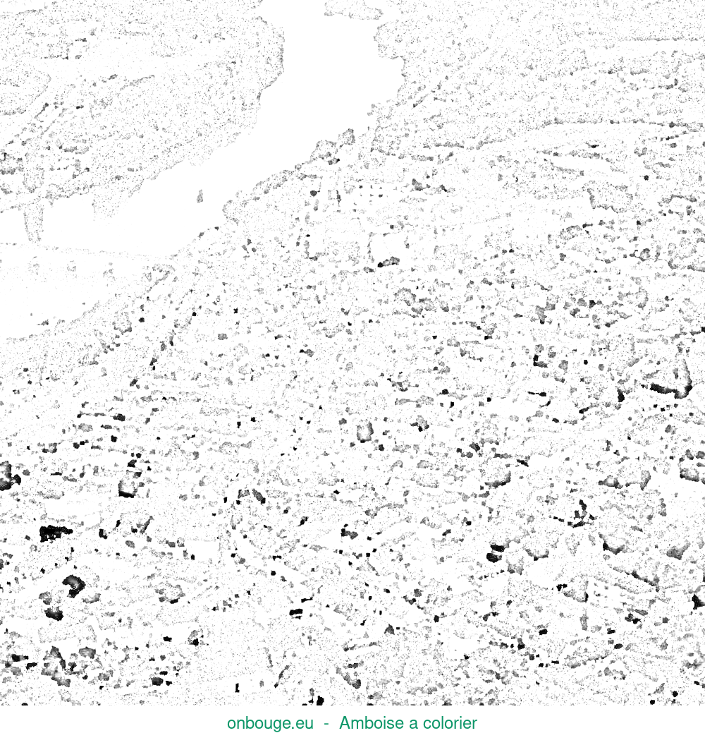 Coloriage d’Amboise