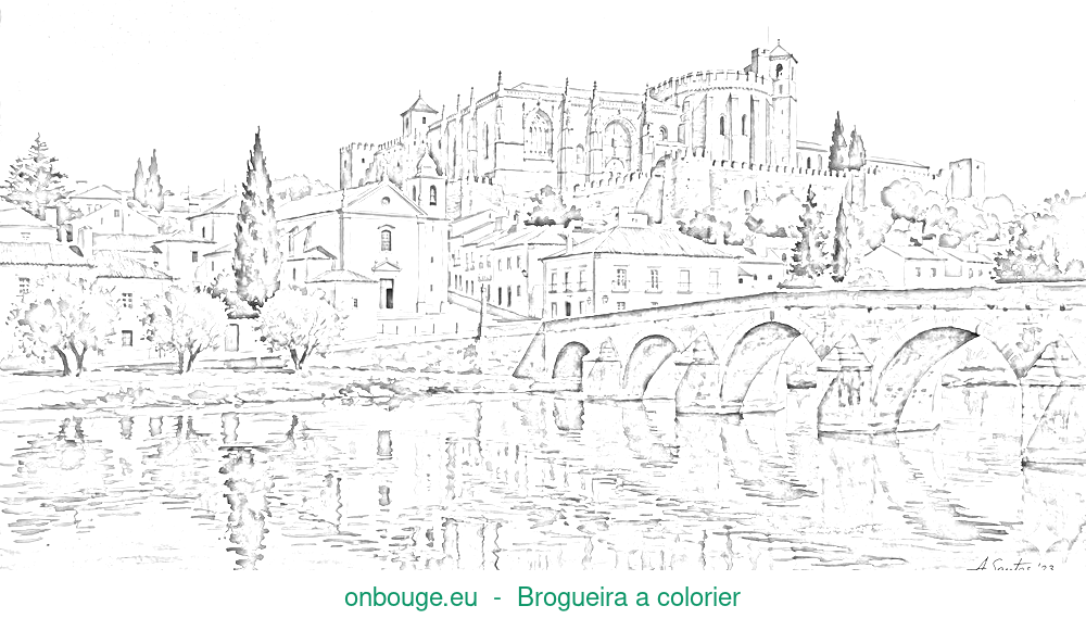 Coloriage de Brogueira