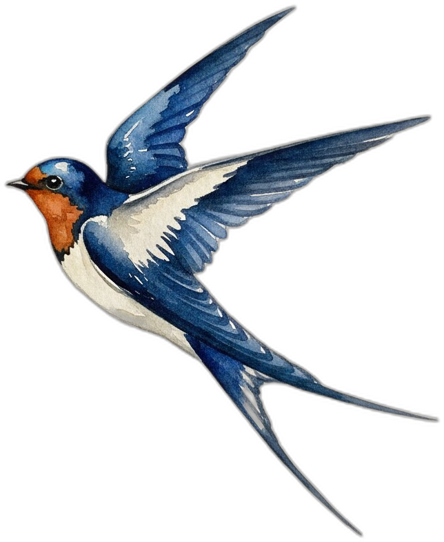 Hirondelle OnBouge
