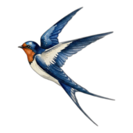 Humberto