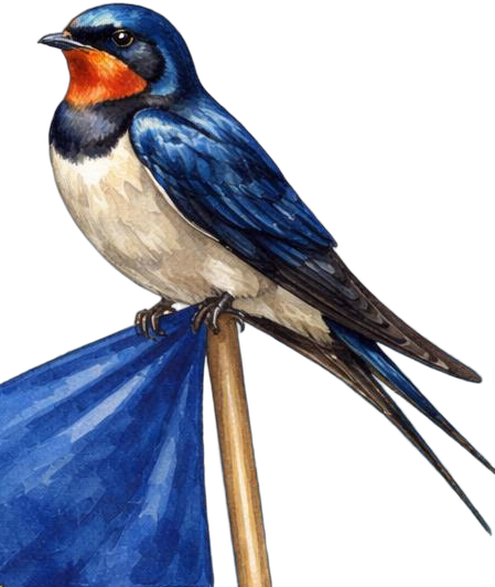Palmi