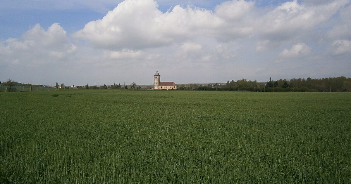Hanches — photo réelle (Wikimedia Commons, Floppy36)