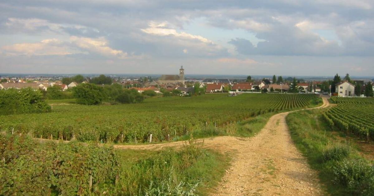 Marsannay-la-Côte — photo réelle