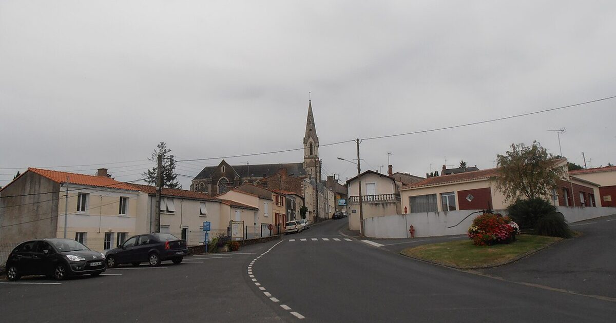 Orée d'Anjou — photo réelle (Wikimedia Commons, Labiloute)