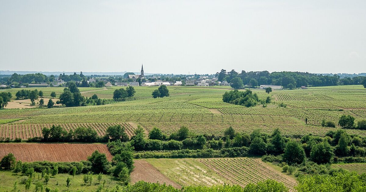 Val-du-Layon — photo réelle (Wikimedia Commons, DEVECC)