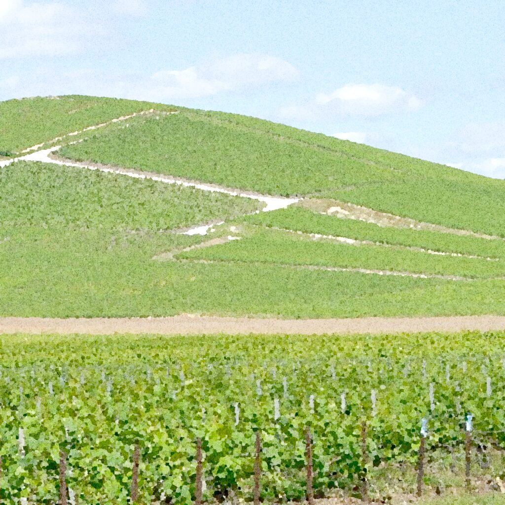 Aquarelle d’Aÿ-Champagne